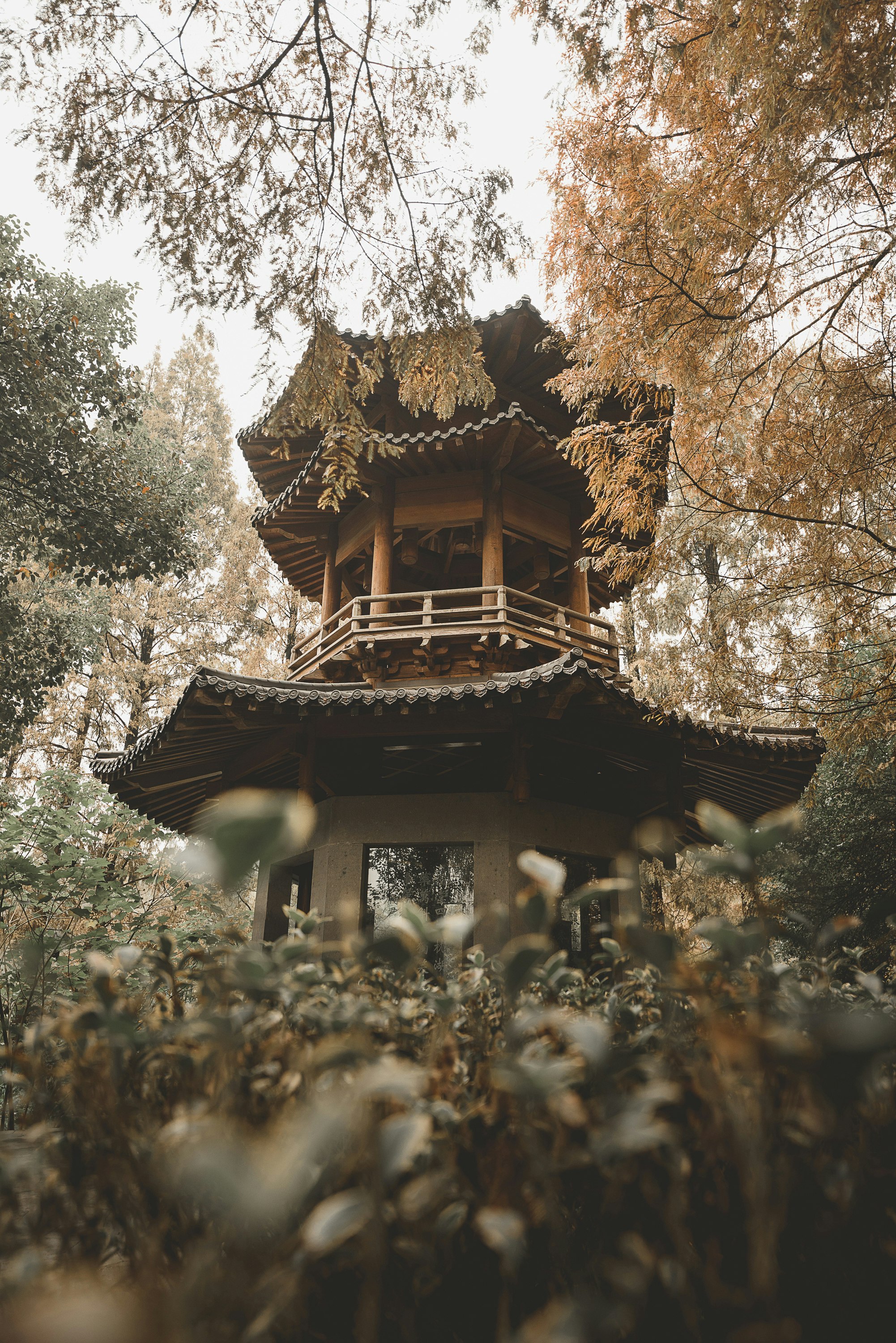 brown and gray tower surrounded with trees